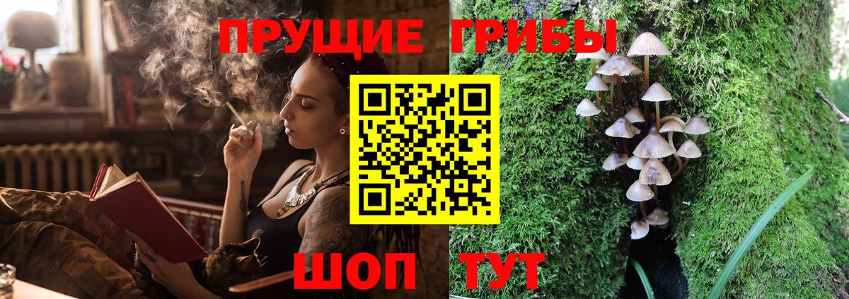 Галлюциногенные грибы Cubensis  Вход с VPN  Советск 
